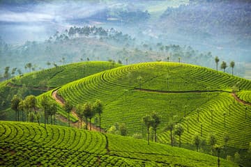 Munnar Hill Station
